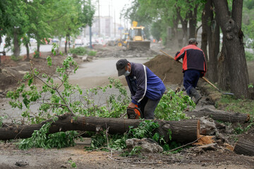 Tree Services